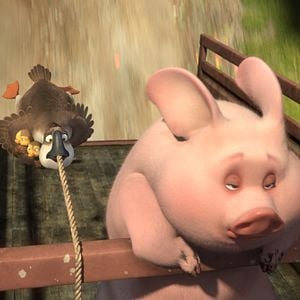 Foto Pato Pato Ganso