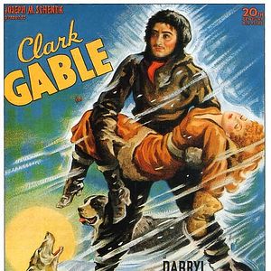 Foto O Grito da Selva