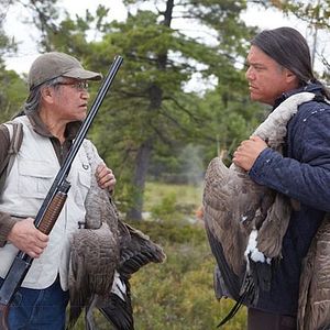 Foto Through Black Spruce