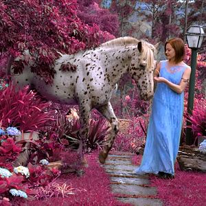 Foto A Chave do Vale Encantado