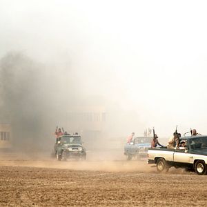Foto Pássaros de Verão
