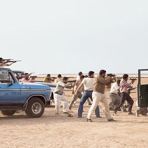 Foto Pássaros de Verão