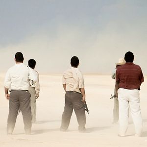 Foto Pássaros de Verão