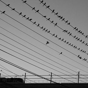 Foto La Felicidad del Sonido