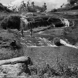Foto Humberto Mauro, Cinema É Cachoeira