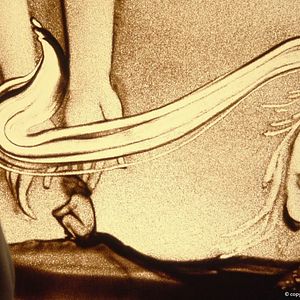 Foto Menina de Areia