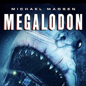 Foto Megalodon