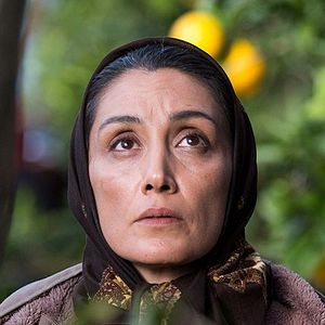 Foto A Plantação de Laranjas