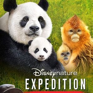 Foto Expedição China