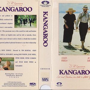 Foto Kangaroo