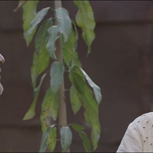 Foto A Música das Esferas