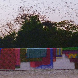 Foto The Grand Bizarre