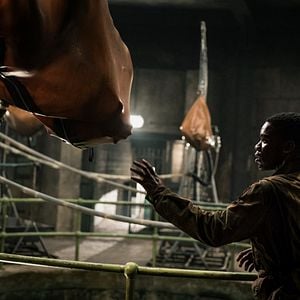 Foto Operação Overlord