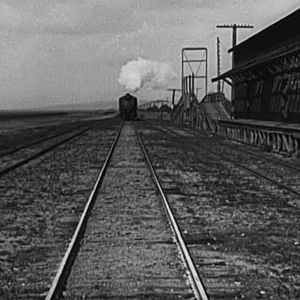 Foto Bode Expiratório