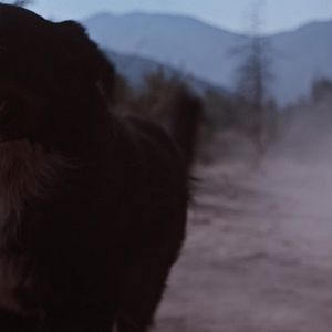 Foto Tarde para Morrer Jovem