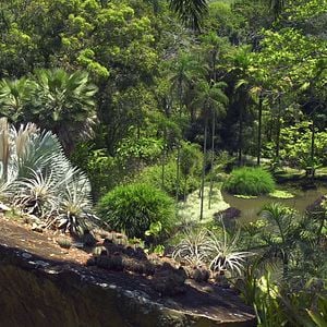 Foto Filme Paisagem - Um Olhar Sobre Roberto Burle Marx