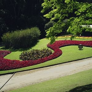 Foto Filme Paisagem - Um Olhar Sobre Roberto Burle Marx