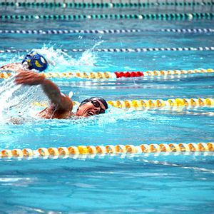 Foto Um Dia para Susana