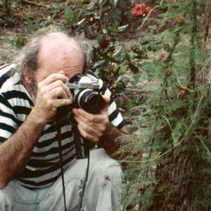 Foto Frans Krajcberg: Manifesto