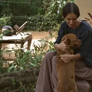 Foto Uma Vida em Segredo