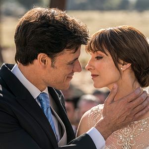 Foto Árvore de Sangue