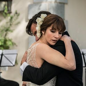 Foto Árvore de Sangue