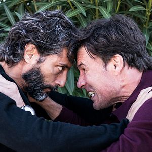 Foto Árvore de Sangue