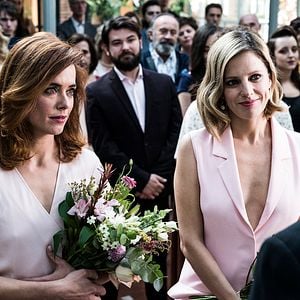 Foto Árvore de Sangue