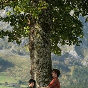 Foto Árvore de Sangue