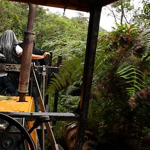 Foto Gilda Brasileiro - Contra o Esquecimento