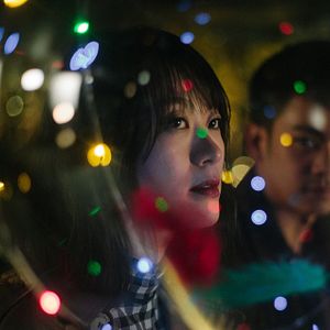 Foto Pássaros do Subúrbio