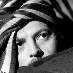 Foto Os Companheiros