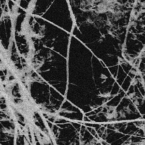 Foto Com o Terceiro Olho na Terra da Profanação