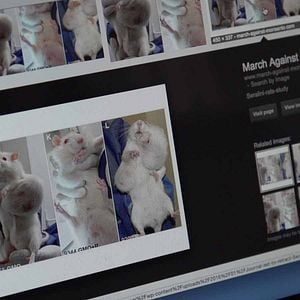 Foto O Futuro da Alimentação Humana