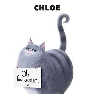 Foto Pets - A Vida Secreta dos Bichos 2