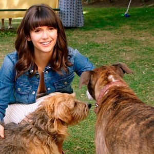 Foto Nossa Vida com Cães