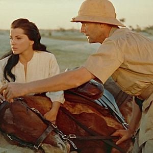 Foto O Tigre da Índia