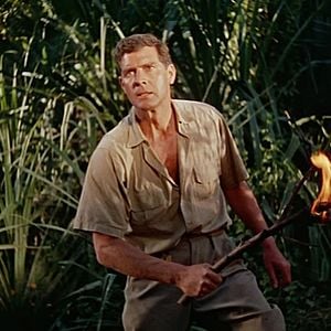 Foto O Tigre da Índia