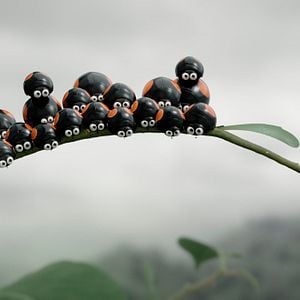 Foto Minuscule 2 - Les Mandibules du Bout du Monde