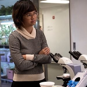 Foto Uma Nova Chance