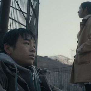 Foto Um Elefante Sentado Quieto