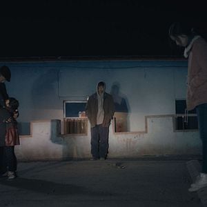 Foto Um Elefante Sentado Quieto