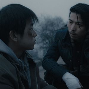 Foto Um Elefante Sentado Quieto