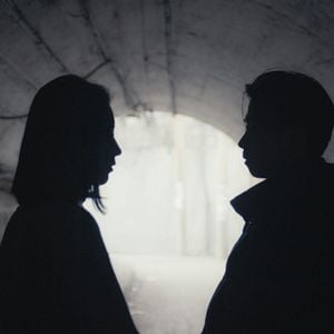 Foto Um Elefante Sentado Quieto