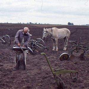 Foto Viva os Crotos!