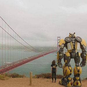 Foto Bumblebee