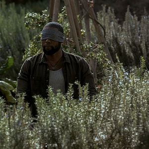 Foto Caixa de Pássaros