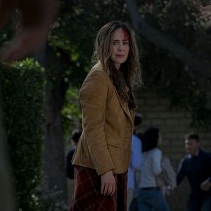 Foto Caixa de Pássaros