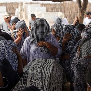 Foto Pássaros de Verão