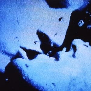 Foto Self-Portrait in 23 Rounds: A Chapter in David Wojnarowicz's Life, 1989-1991